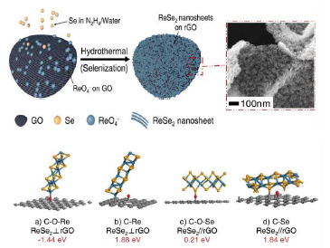 rGO 위에 단일층 수준으로 성장한 ReSe2 모식도와 미세구조 분석 이미지 (TEM) 및 DFT 계산을 통해 확인한 ReSe2 수직 성장 양상