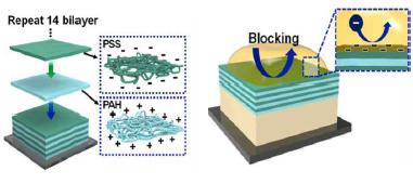 고분자전해질의 층상조립 제작과정 모식도 (좌) 및 표면강화를 통한 단분자 선별투과 모식도 (우)