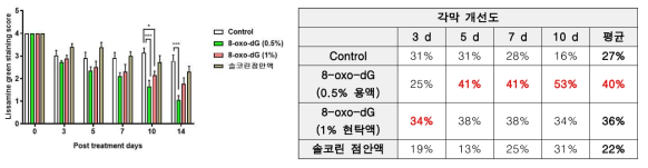 Lissamine green 염색법에 의한 각막 손상 회복 효능평가 결과