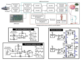 완성된 인간 모사 신경 인터페이스 시스템 (위) 및 AMN board 안 구성 회로들 (아래)