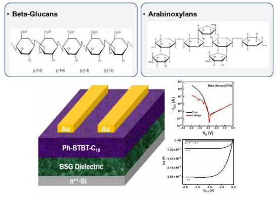 (위) 본 연구에서 활용한 양조 공정의 부산물인 베타글루칸과 아라비노실란 화학구조 (아래) 제작한 유기 박막 트랜지스터와 소자의 성능