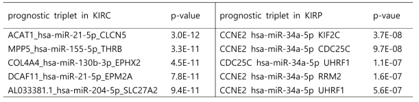 KIRC와 KIRP의 예후 예측 ceRNA triplet 바이오마커 중 일부와 log-rank test에서의 p-value