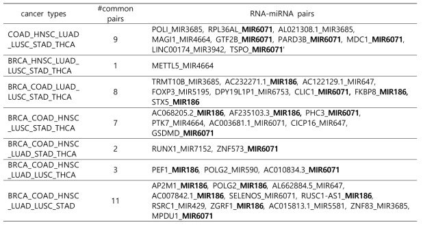 암의 조기 진단을 위하여 발굴한 RNA-miRNA 유전자쌍 중에서 6개 암에 공통된 유전자 쌍