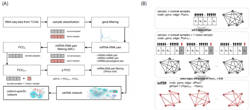 (A) 개인별 ceRNA network 생성과정. (B) 이차 부분 상관계수 기반의 개인별 네트워크 생성과정