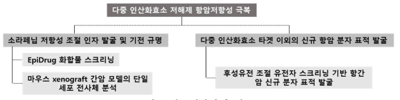 연구개발과제 개요