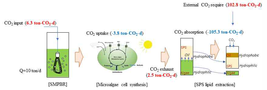 SMPBR-SPS 통합공정의 CO2 저감 효과 산출