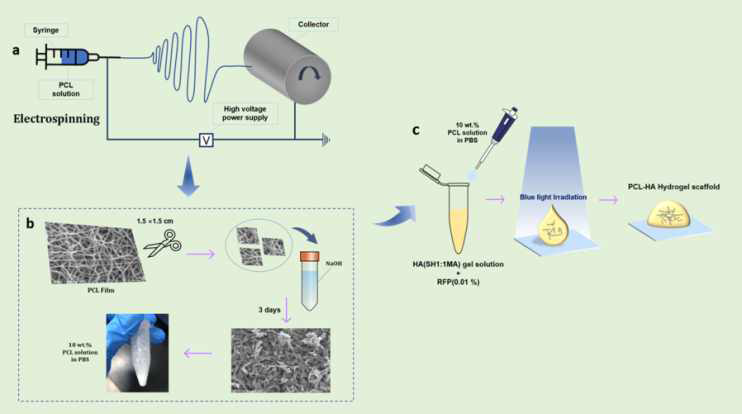 PCL 전기방사 섬유 조각 제조 및 히알루론산 함입 과정 모식도