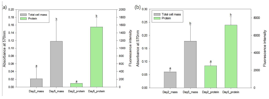 Comparison of total cell mass and protein for Day 2 and 5 of E. coli O157:H7 biofilm developed on SS (a) and HDPE (b) coupons. Values with different lowercase letters were significantly different (p < 0.05)