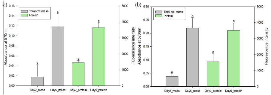 Comparison of total cell mass and protein for Day 2 and 5 of S. Typhimurium biofilm developed on SS (a) and HDPE (b) coupons. Values with different lowercase letters were significantly different (p < 0.05)