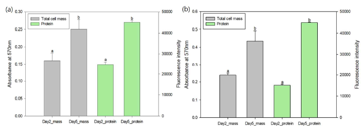 Comparison of total cell mass and protein for Day 2 and 5 of L. monocytogenes biofilm developed on SS (a) and HDPE (b) coupons. Values with different lowercase letters were significantly different (p < 0.05)