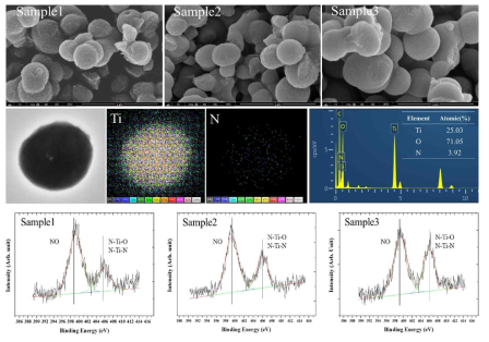 질소도핑 TiO2의 SEM, TEM, XPS N1s 분석