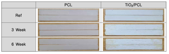 UV 광조사에 따른 복합소재 분해 사진