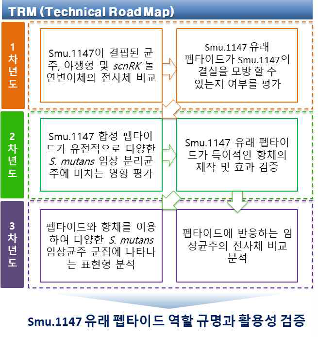 연구의 추진전략 체계도