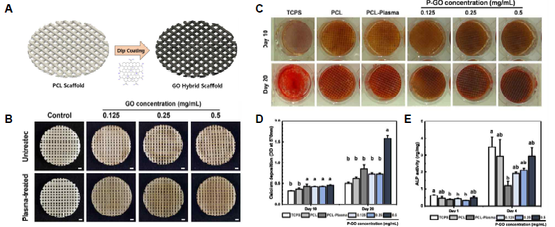 Graphene Oxide/PCL 임플란트의 개발 및 특성 평가