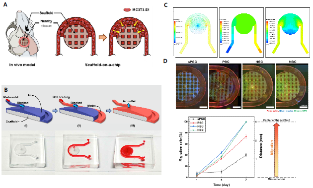 Scaffold-on-a-chip을 이용한 지지체의 성능 평가 연구