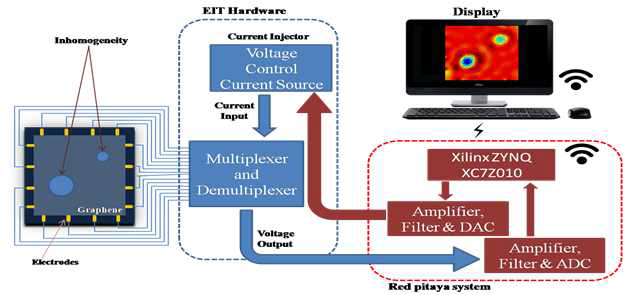 Schematic diagram to illustrate application of EIT for graphene conductivity imaging