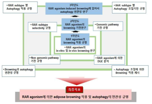 본 연구의 연차별 목표 및 연구내용