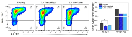 전염증성 사이토카인 생산량 정량 (유세포 분석)