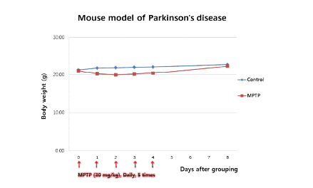 MPTP 투여 후 마우스 체중 측정 결과