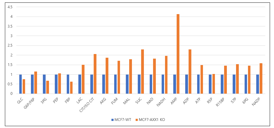 LC-MS/MS를 이용한 MCF7 세포와 AXX1 KO 세포의 metabolomics 대사분석