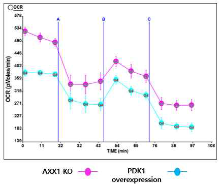 AXX1 KO 세포에 PDK1 유전자 과 발현 유도한 후 OCR 분석