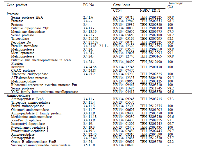 Putative protease and aminopeptidase genes identified in two Tetragenococcus halophilus genomes.