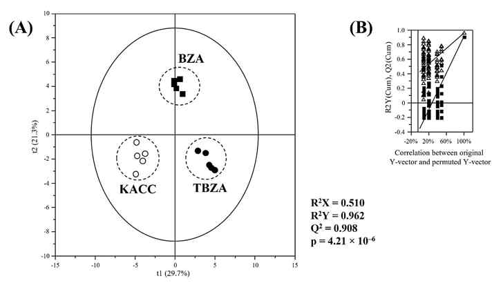 PLS-DA score plots of doenjang samples. GC/MS analyses of doenjang samples at 16 wk were used. The qualities of the PLS-DA score plots for the metabolites were evaluated by R2X, R2Y, Q2, and p-values (A) and validated by the permutation test (n=200) (B).