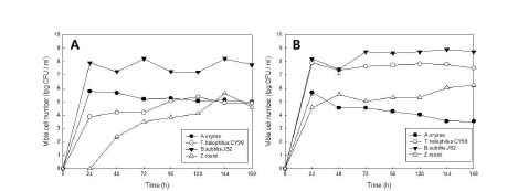 Cocultivation of 4 microorganisms. A; cocultivation results for 4 microorganisms. B; independent cultivation of each organism under the same conditions.