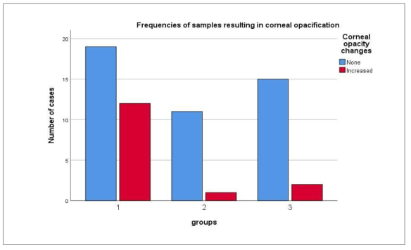 Group별 corneal opacity score의 변화의 유의성 검증