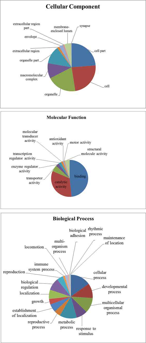 RNA sequencing GO analysis