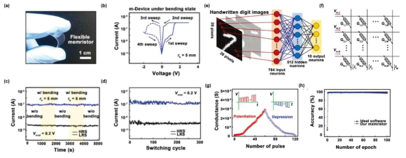 (a) m-Device의 기계적 유연성, (b) 기계적 굽힘 상태에서의 I-V 특성, (c) 기계적 스트레스 하에서의 메모리 유지 특성 및 (d) 전기적 내구성, (e) 해당 소자를 활용한 패턴인식 인공신경망 설계, (f) 인공신경망 구현을 위한 소자 어레이 구조, (g) 단일 셀의 다중상태 특성, (h) 개발된 소자 기반의 신경망 패턴인식 정확도