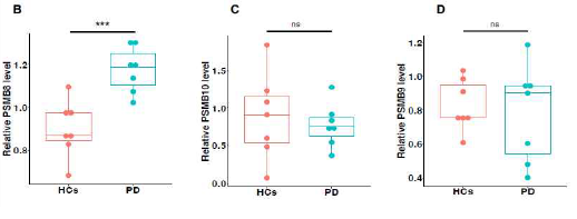 Immunoproteasome protein level in PBMC of IPD and Healthy control