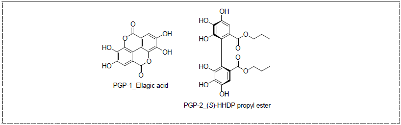 Propyl gallate의 양송이버섯 유래 PPO 처리에 의해 신규생성된 화합물의 구조