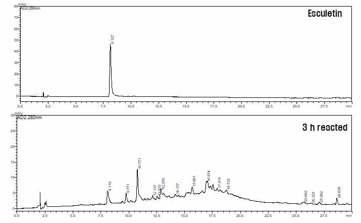 Esculetin의 양송이버섯 유래 PPO 처리에 의해 생성물의 HPLC 분석