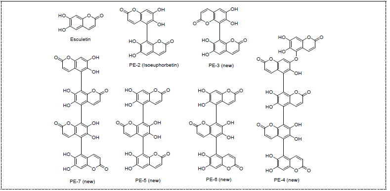 Esculetin의 양송이버섯 유래 PPO 처리에 의해 신규생성된 화합물의 구조