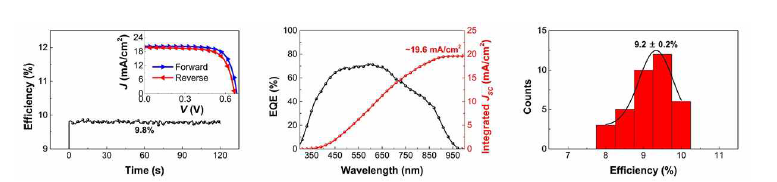 최고성능 소자의 안정화 효율 및 J-V 곡선, 외부양자효율 곡선, 효율 히스토그램