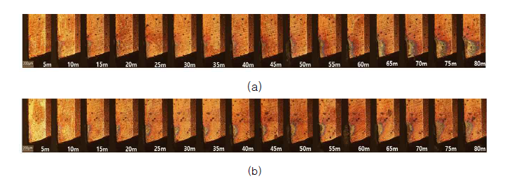플랭크 면 마모 광학현미경 이미지(X100); (a) 엔드밀 플랭크 1, (b) 앤드밀 플랭크 2