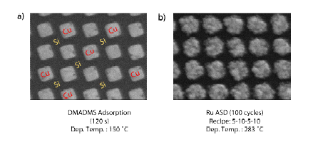 Si/Cu 패터닝 기판 위 a) DMADMS 흡착, b) RU ASD 100 cycles FE-SEM 이미지