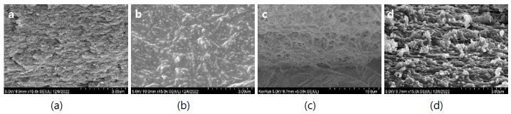 0.15 M EDTA(aq)를 처리한 Fe3+-Catechol Gel의 FE-SEM 단면 이미지 Fe3+-Catechol 몰 비: (a) 1:3, (b) 1:5, (c) 1:7, (d) 1:9