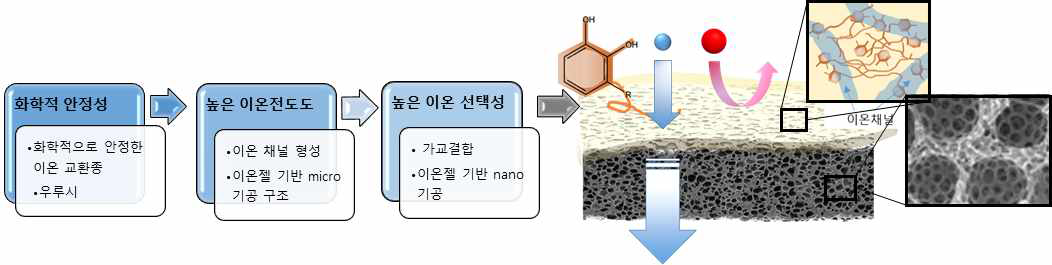 우루시 젤로부터 내화학 안정성이 높은 이상적인 전-우루시 음이온 교환 분리막 개발 개념도