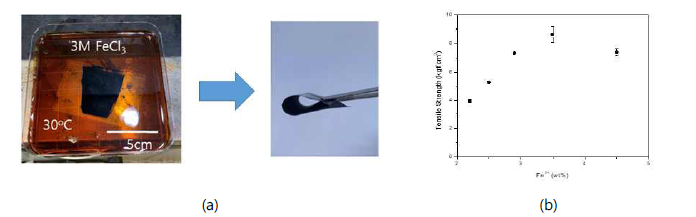 (a) FeCl3 수용액 속에 phase inversion으로 형성된 우루시 film과 (b) Fe 이온의 농도에 따라 얻어진 우루시 film의 접착 인장 강도