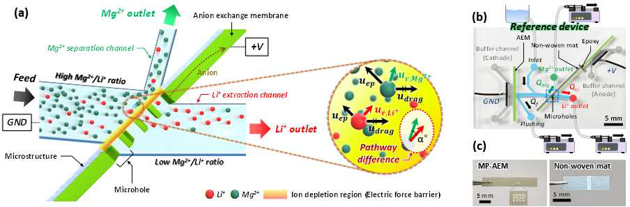 (a) 이온 분리무 모식도 및 이온 공핍 영역 부근에서 리튬/마그네슘 이온에 작용하는 속도 분포. (b) 실험 장치 모식도 (c) 마이크로홀이 형성된 음이온 교환막 사진 및 파라핀 왁스가 코팅된 미세구조물 사진.