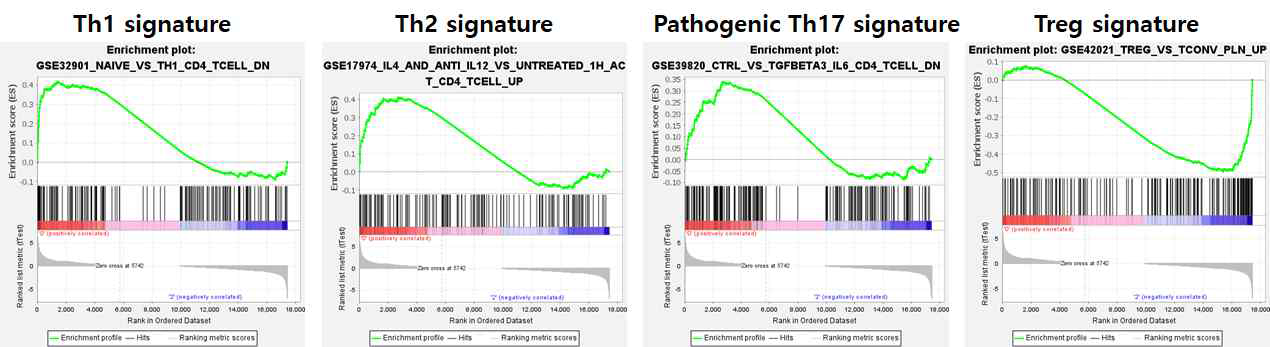 PDK 결핍 CD4 T 세포 transcriptomic analysis 및 GSEA 분석