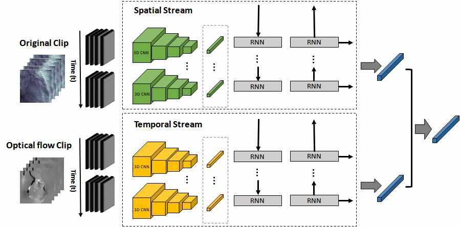 Two-stream network