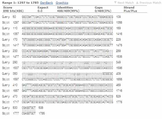 PCR Product 시퀀싱