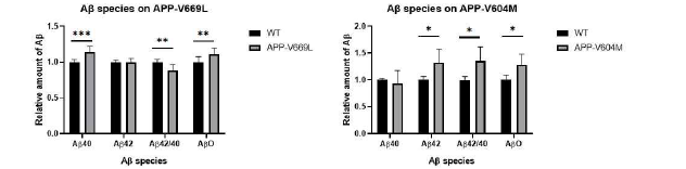 Aβ species production in the extracellular of cells.