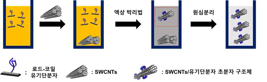 초분자 구조체 제작의 모식도