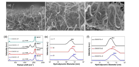 (a)~(c) SEM 이미지, (d) Raman spectrum, (e)~(f) DLS spectrum