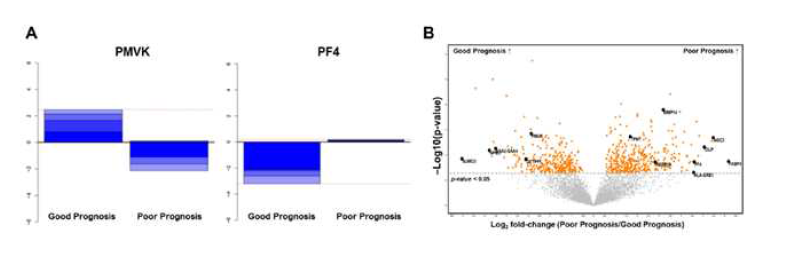 Selection of prognostic biomarker candidates using unbiased machine learning: (A) Discriminant power plots of the up-regulated gene (phosphomevalonate kinase, PMVK) in the good prognosis group and the up-regulated gene (platelet factor 4, PF4) in the poor prognosis group; (B) volcano plot with the 13 statistically significant differentially expressed proteins.