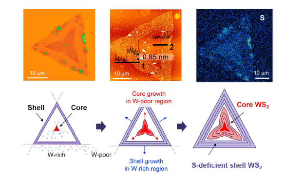 반도체 전이금속칼코젠화합물 WS2의 core-shell 화학적 성장 (대표 연구실적 4)